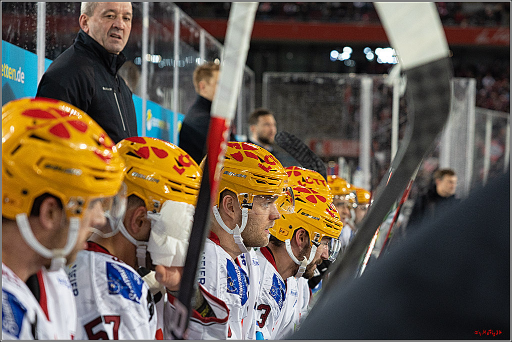PENNY DEL;  Kölner Haie - Fischtown Pinguins; Köln, 22.12.2022